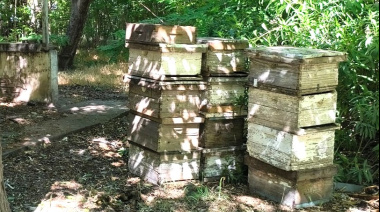 Detectan foco de Loque americana y desmantelan una sala de extracción ilegal