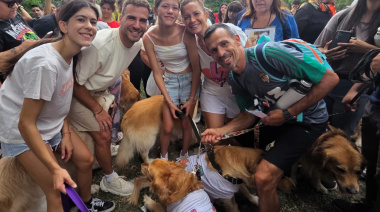 Récord de Golden Retrievers en Buenos Aires