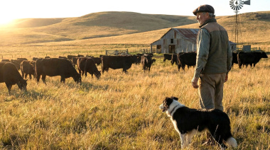 Hidatidosis: Claves del SENASA para la prevención en el ámbito rural