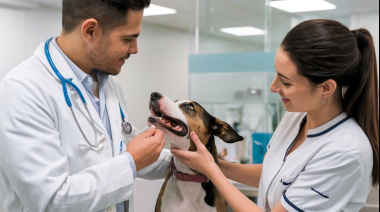 Más cerca de garantizar el acceso global a la terapéutica veterinaria