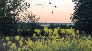 Vínculos entre la sanidad animal, la salud pública y el bienestar de los ecosistemas