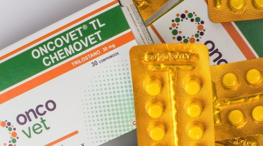 Uso de ONCOVET TL en perros con hiperadrenocorticismo