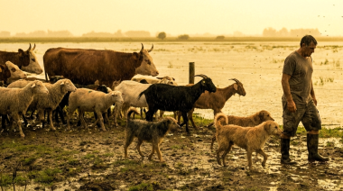 A mayor temperatura o mayor cantidad de lluvias, mayor riesgo de transmisión de zoonosis