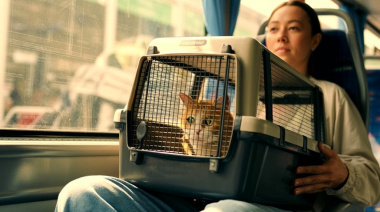 Autorizan trasladar animales de compañía en trenes y micros de larga distancia