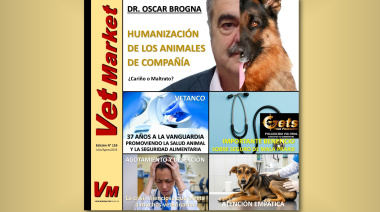 Humanización de los animales, Trabajo social veterinario, Agotamiento y deserción de los veterinarios