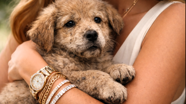 ¿Por qué tantas celebridades eligen el bienestar animal como causa personal?