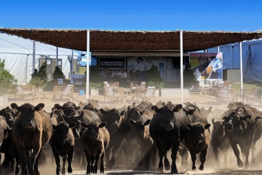Biogénesis Bagó estará presente en Expoagro 2025 con novedades para el sector