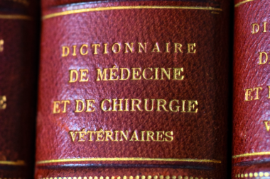 SOMEVE y un legado centenario para la Facultad de Ciencias Veterinarias de la UBA