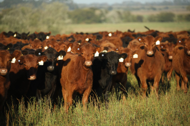 Agtech: la nueva división de soluciones tecnológicas de Biogénesis Bagó