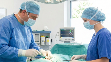 Nueva guía sobre el uso de antibióticos en cirugías de perros y gatos