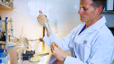 Desarrollan chips de mozzarella que concentran el valor nutricional de la leche