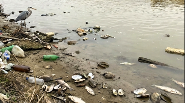 Un cuarto de la fauna de agua dulce está en riesgo de desaparecer
