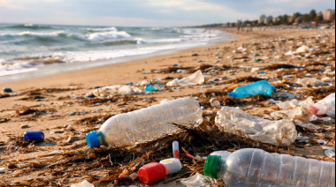 Casi el 80% de los residuos en las playas bonaerenses son plásticos
