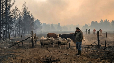 Patagonia argentina: el impacto de los incendios en la fauna
