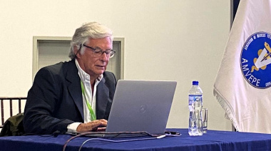 Gestión veterinaria: cuando la excelencia clínica necesita estrategia