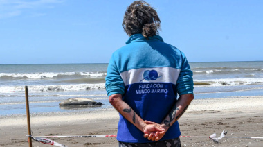 Qué deben hacer los turistas ante un encuentro con fauna marina en la playa