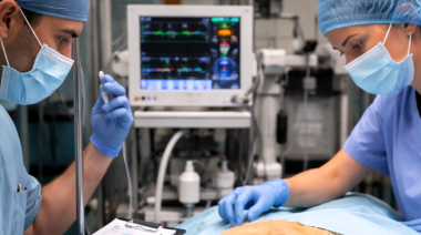 Anestesia veterinaria: la seguridad reside en el criterio clínico