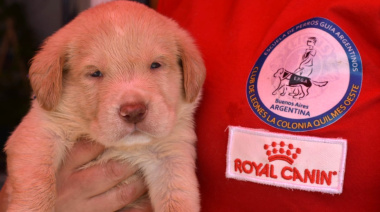 La EPGA busca familias para criar cachorros que serán perros guía