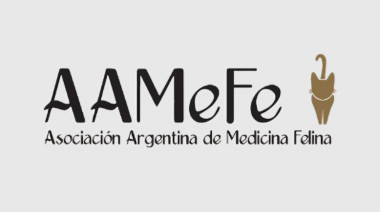 7 de Noviembre - Congreso AAMeFe 2026