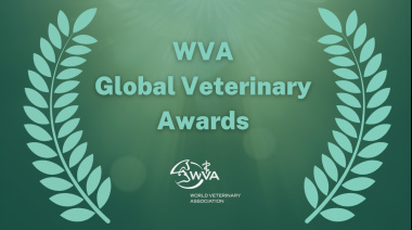 Abren las nominaciones para los Premios Veterinarios Globales 2026