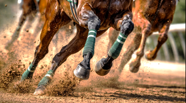 Reconocen el desarrollo de un sistema con IA para detectar fracturas en caballos