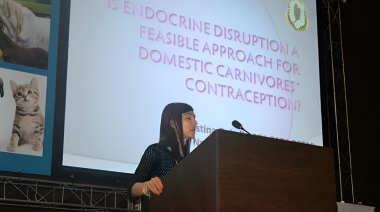 Cristina Gobello alcanzó la máxima categoría del CONICET