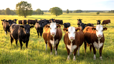 Tuberculosis bovina: una amenaza vigente para la producción y la salud