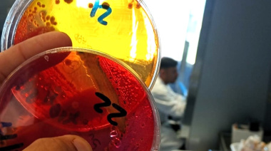 Laboratorio del INTA se suma a la red de laboratorios del SENASA