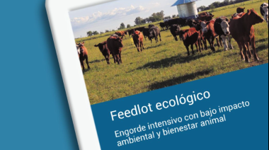 Salud del rodeo: el eje del nuevo manual del INTA sobre Feedlot Ecológico