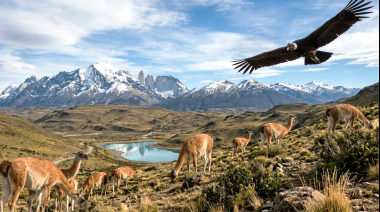 Biodiversidad: el rol estratégico de la veterinaria para su preservación