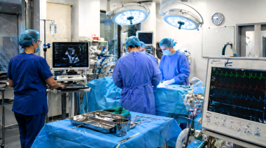 Cirugía mitral en perros: nuevos datos sobre riesgos y recuperación