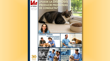 Clínica, profesión y cambio de época