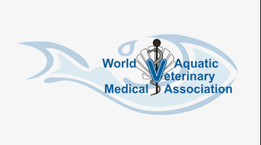 WAVMA: la red global de medicina veterinaria acuática
