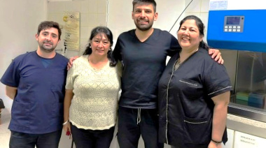 Con embriones de pollo buscan establecer un protocolo preciso para probar fármacos oncológicos