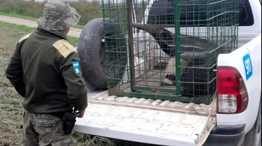 Veterinarios capacitan a fuerzas de seguridad sobre fauna silvestre
