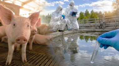 Hepatitis E y Hantavirus: los datos del BEN que encienden alarmas veterinarias