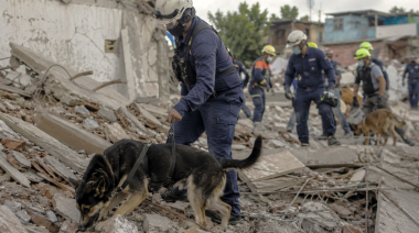Veterinarios argentinos brindan apoyo técnico tras el sismo en Venezuela