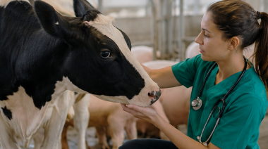 Una Salud: la clave para prevenir las zoonosis