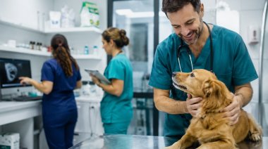 ¿Cuándo una clínica veterinaria deja de ser un emprendimiento y se convierte en una empresa?