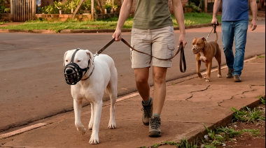 Misiones ya regula la tenencia de perros potencialmente peligrosos