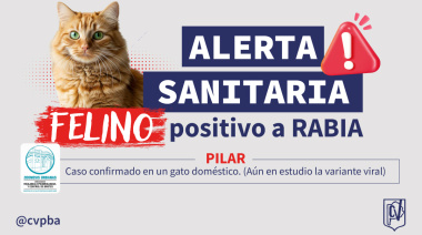 Confirman un caso de rabia en un gato doméstico en Pilar