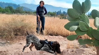 Olfato canino aplicado a la conservación de la fauna local