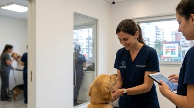 Sancionan la Ley 14.456: penas de arresto y multas por agredir a veterinarios en Santa Fe