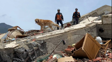 Perros de rescate: el exitoso trabajo de ACECC en Venezuela