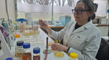Buscan desarrollar un probiótico para combatir bacterias resistentes en perros y gatos