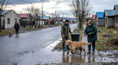 Alerta en Santa Cruz por leptospirosis en caninos