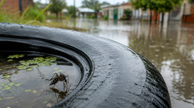 Dengue: el avance de El Niño vuelve a poner el foco en la prevención