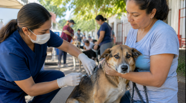 Bolivia: Sucre registra su primer caso de rabia canina en 2026