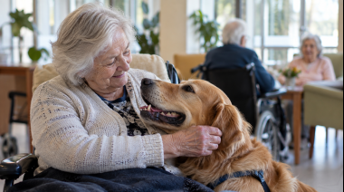Proponen que adultos mayores mantengan a sus animales en geriátricos
