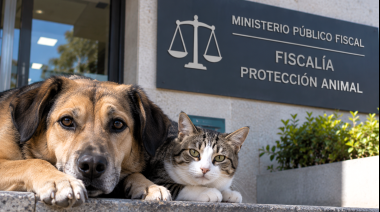 Pergamino y Colón ya cuentan con fiscalías especializadas en maltrato animal